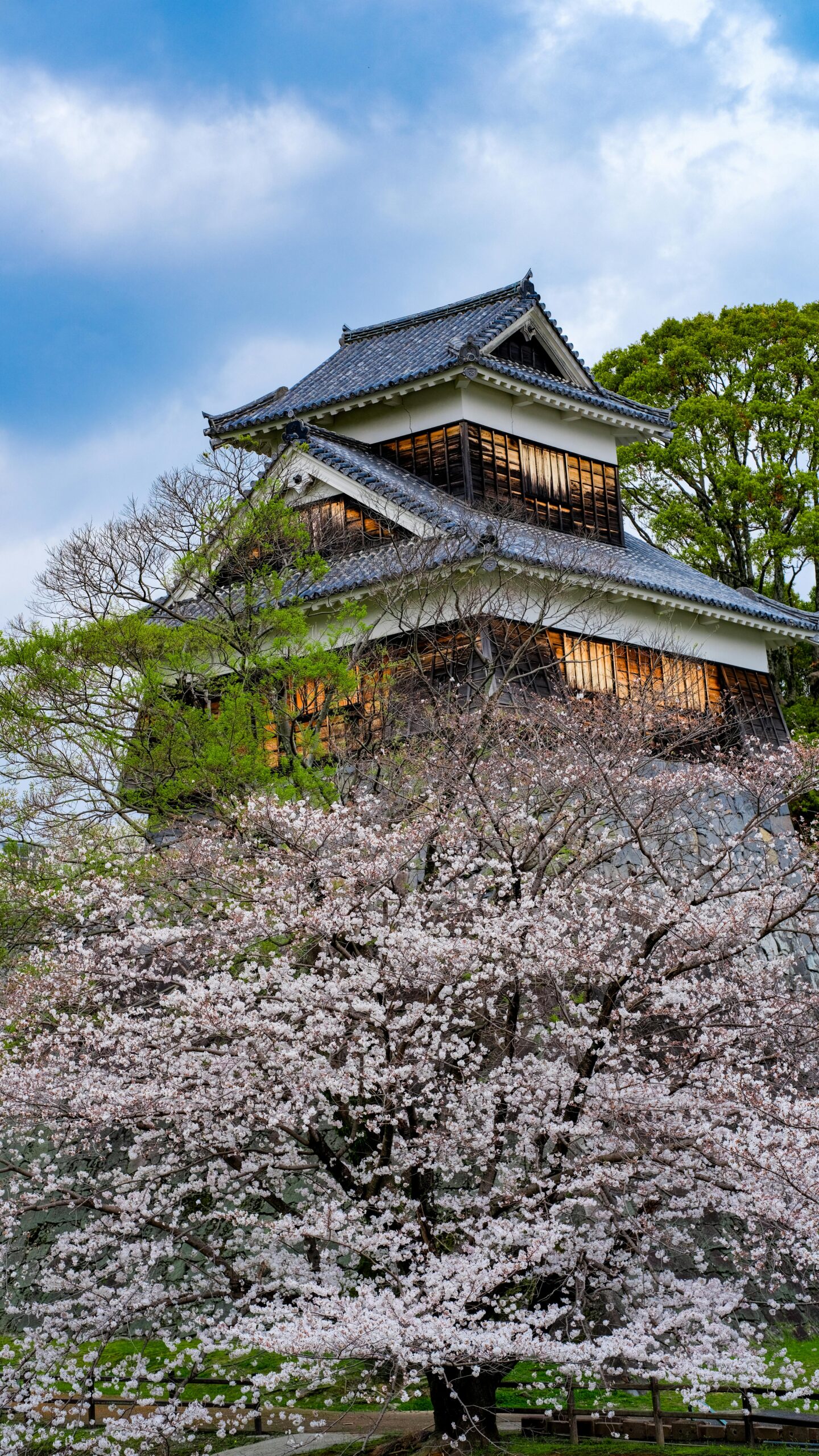 Day Trip to Matsumoto Castle from Tokyo